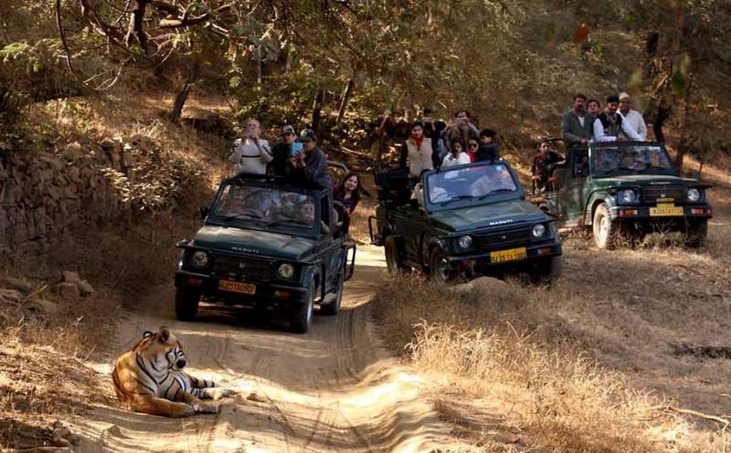 lorem ipsum dolor sit